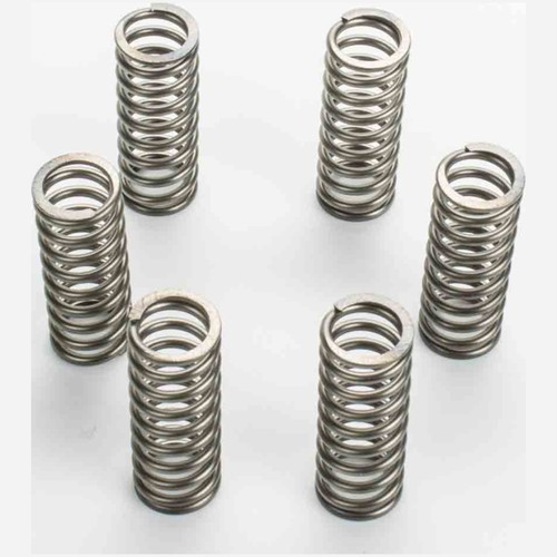 Ebc premium clutch springs - premium, kit