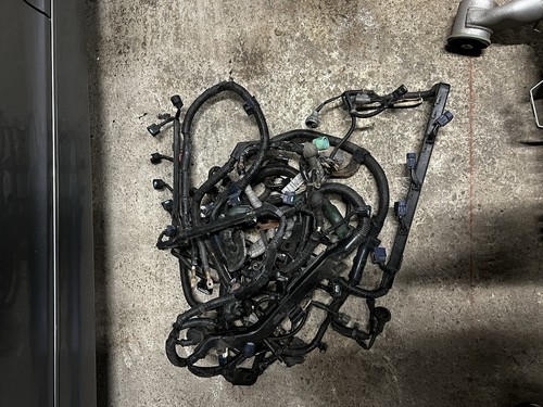 K24 k20 engine - looms, k