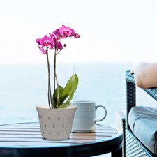 5PCS Orchid Pots Transparent Orchid Pots Garden Planting Supply Flower