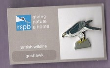 RSPB Pin Badge - Goshawk (-2018) - GNAH Grey Card (FR)
