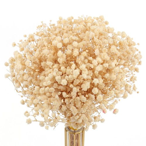 Mihuage dried flowers babys - flowers,