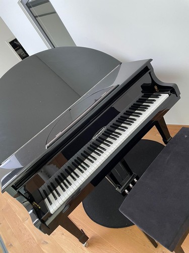 Edelweiss g50 baby - baby, piano