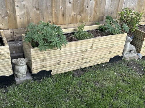 Large raised wooden decking - raised,