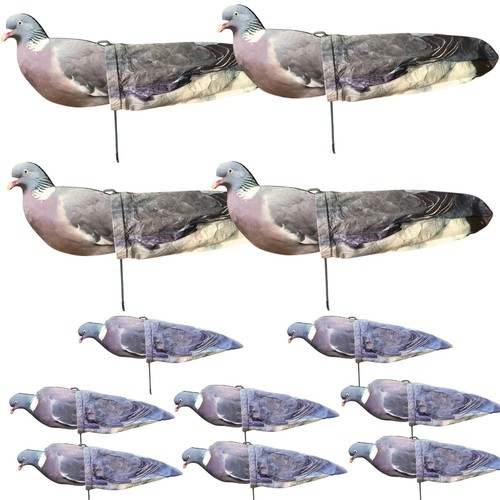 Pro sock pigeon - pro,
