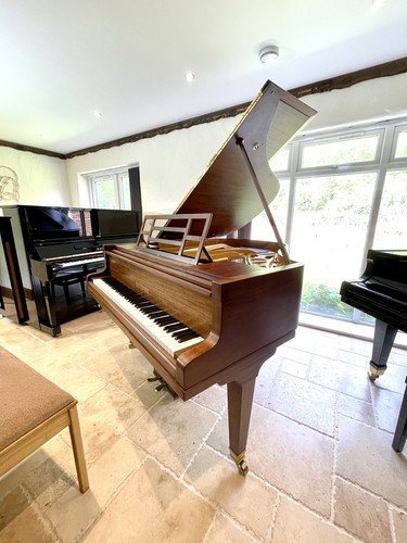 Previously restored bluthner - restored,