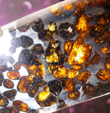 Meteorite SERICHO Pallasite