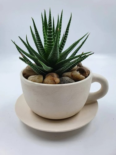 Ceramic planter with - , drain