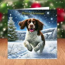 Springer Spaniel Dog Christmas Card