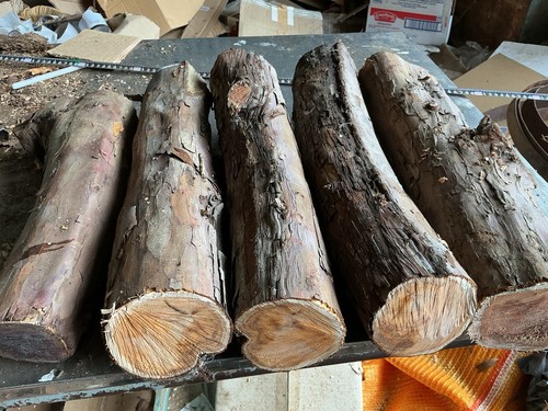 Yew wood - yew,x5,yew, wood,x5,