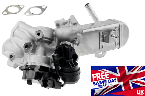 Egr valve cooler - for, ford