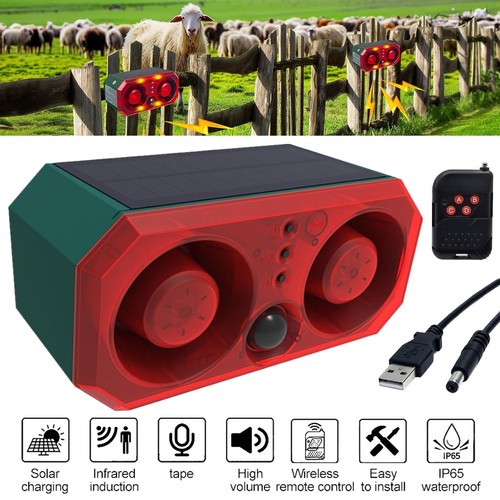 Solar motion sensor alarm - motion,