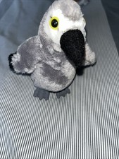 Ravensden African Grey Parrot