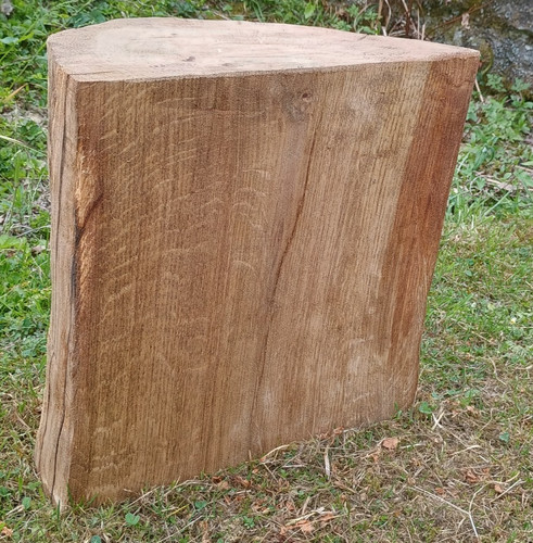 Tree stump seat log - , table