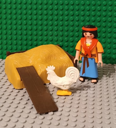 Playmobil nativity scene - ,