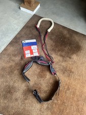 John Whitaker Pessoa Lunging