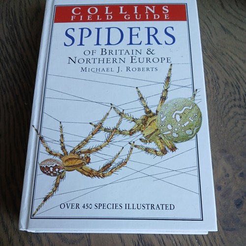 Spiders britain and - britain,