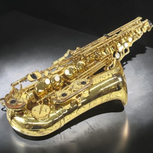Yanagisawa used alto - yanagisawa, a-50