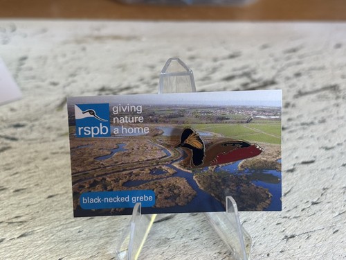 Rspb black necked - rspb,