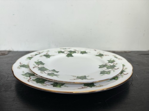 Vintage colclough ivy side - ivy,
