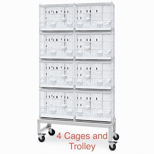 Bird breeding cages - cages, 4