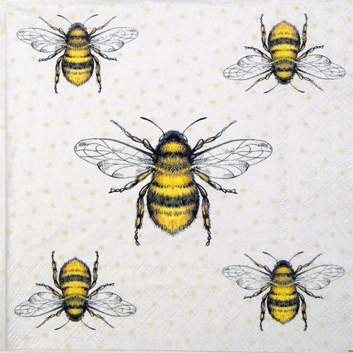 Single paper napkins for - 4x,
