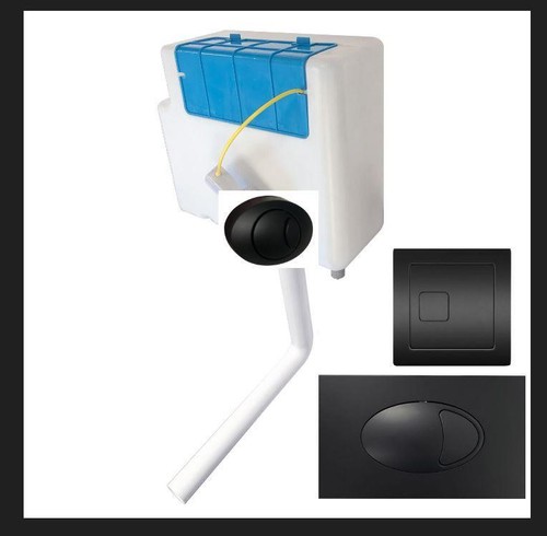 Concealed dual flush toilet - dual,