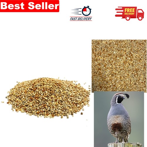 750g quail seed mix - ,