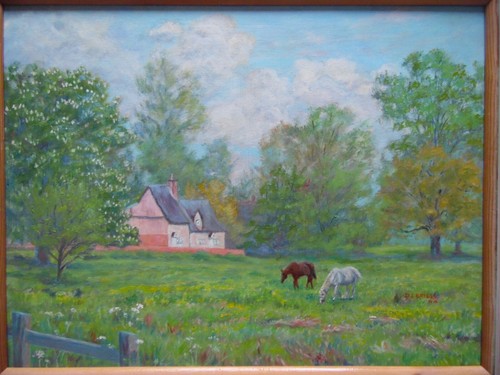 Rural landscape horses grazing - landscape,