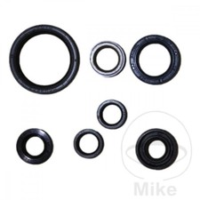 Engine Shaft Seal Set for