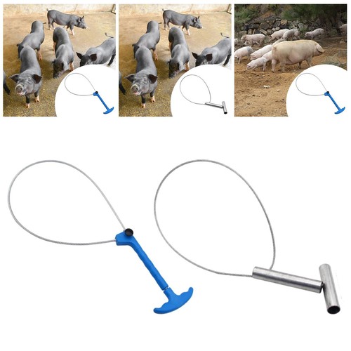 Livestock animal catcher pole - animal,