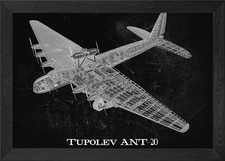 Tupolev ANT20 Framed Wall Art