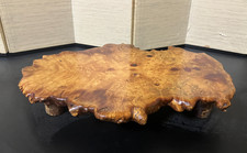 Japanese Burl Wood Bonsai