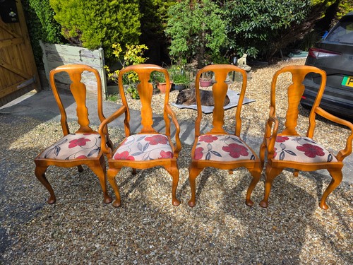 Queen ann style walut - ann,