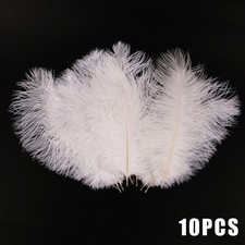 100Pcs/pack Large Ostrich