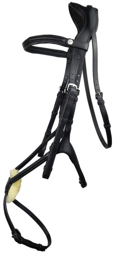 Ecorider freedom grackle - freedom,