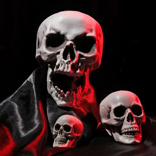 Human skull skeleton halloween - skeleton,