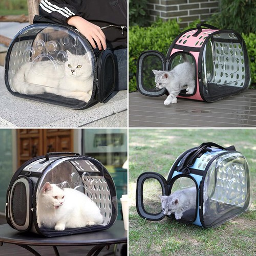 Clear cat dog - cat, carrier