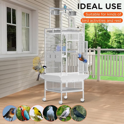 Large bird cage budgie - cage,