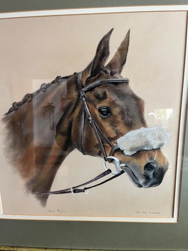 Grand national winner red - national,