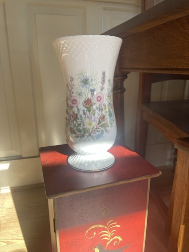 Aynsley wild tudor fine bone - wild,