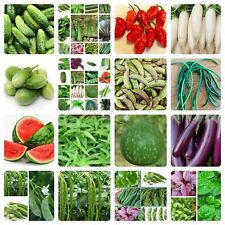 Asian/Bangladeshi Vegetable