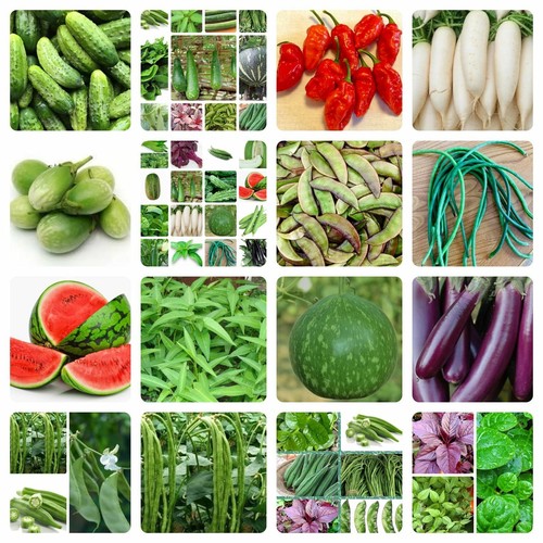 Asian bangladeshi vegetable - asian/bangladeshi,