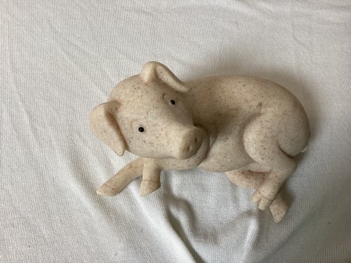 Small rolling over - small, pig"