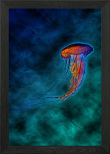 Jellyfish Framed Wall Art