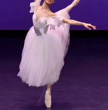 Professional Ballet Romantic