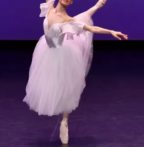 Professional ballet romantic - professional,