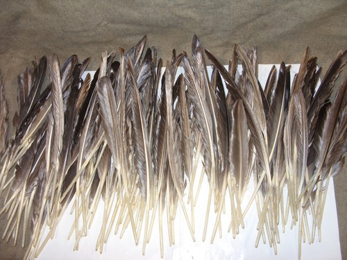 Goose feathers - feathers,
