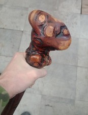 Blackthorn Walking Stick