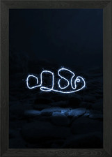 sparkling clown fish Framed