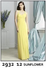 DESSY Collection sunflower